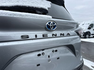 2023 Toyota Sienna XLE