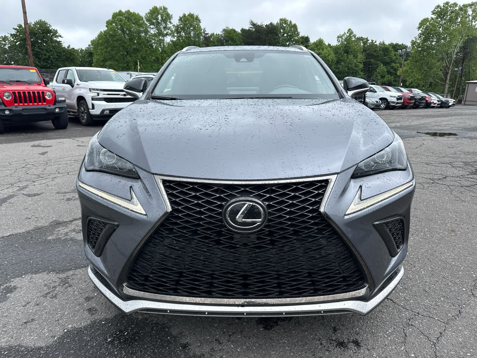 2020 Lexus NX 300 F SPORT